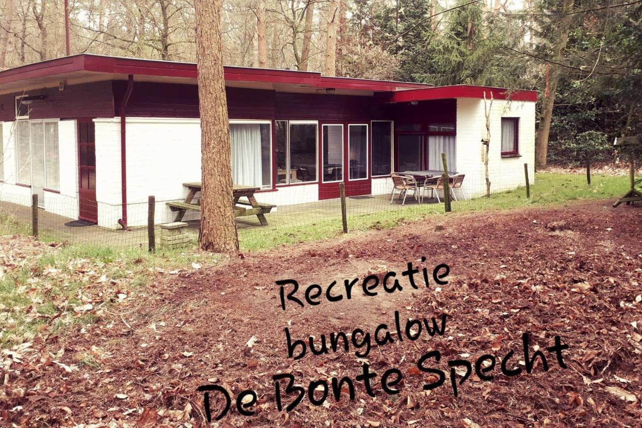 오털로 Bonte Specht 빌라 외부 사진